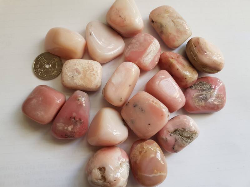 opal - rosa XL