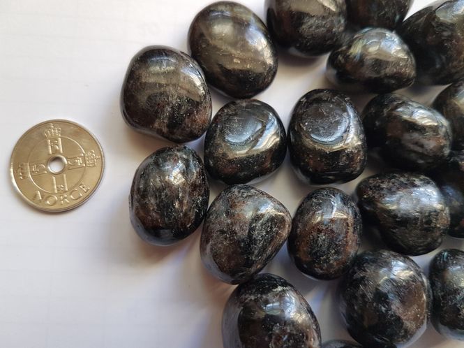 Hovedbilde astrophyllite