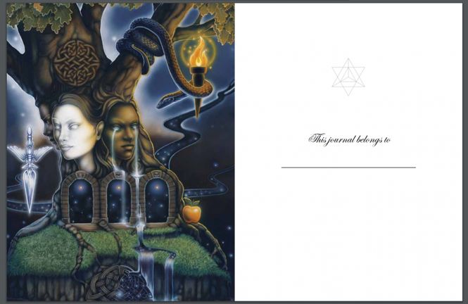 Hovedbilde Tarotjournal - The Dreamer's ...