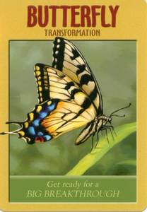 Hovedbilde Power Animal Oracle Cards - ...