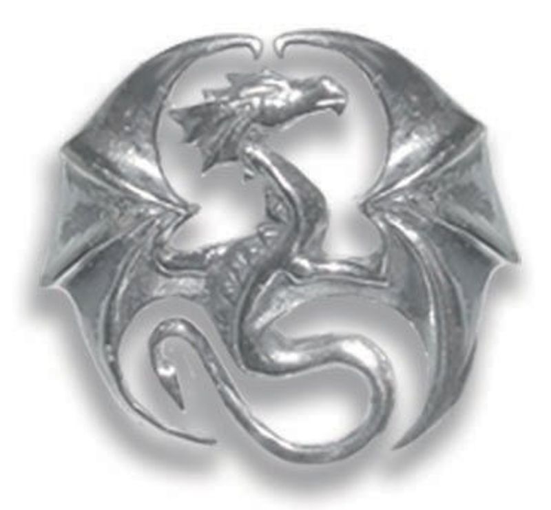 Draco for Stability & Progress by Anne Stokes