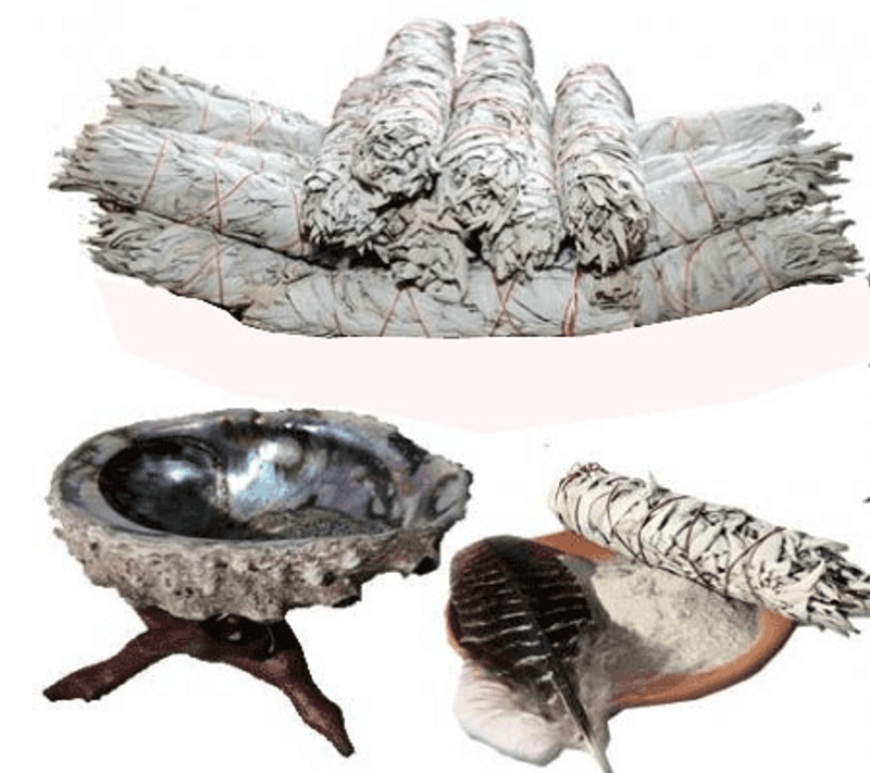Hvit Salvie stor - White Sage Smudge large